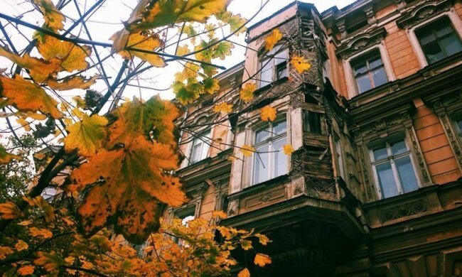 Одесса столкнется с причудами осени: туман и солнце поборются за власть над городом 10 ноября