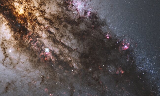 Гороскоп, фото: pixabay