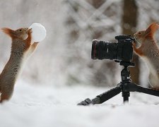 Найбільш фотогенічні білки в світі (фото)