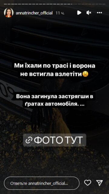 Скриншот из Insta Stories, Анна Тринчер