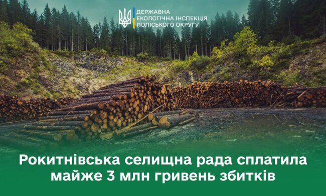 Существенная победа Госэкоинспекции и судебный прецедент: поссовет уплатил миллионы убытков за незаконную порубку