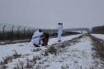 Вівчарка-прикордонниця Лора, фото: facebook.com/DPSUkraine