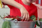 Черешня, кадр из видео, изображение иллюстративное: YouTube