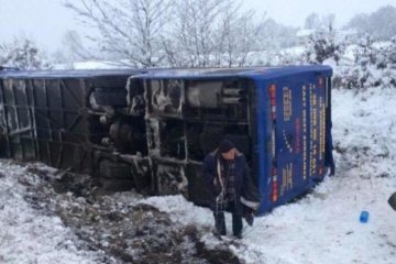 Переповнений автобус вилетів у кювет на Львівщині, багато постраждалих
