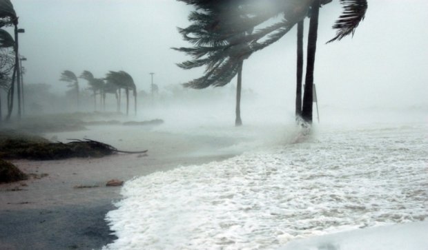 Потужний ураган у Флориді: опубліковані нові відео