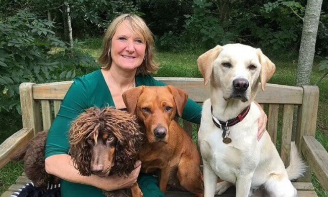 Лабрадор вберіг свою господарку. Фото dailymail