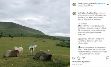 Публікація Павла Глоби, скріншот: Instagram