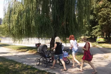 Озеро в дитячому парку перетворилося на борщ: відео