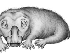 Lystrosaurus у виставі художника, фото: Wikimedia Commons