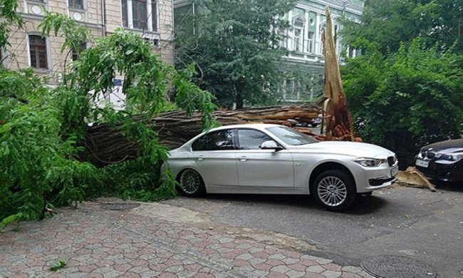 У Одесі через буревій падають дерева і плавають машини (фото, відео)