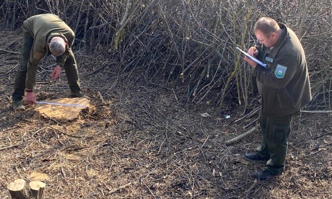 Держекоінспекція