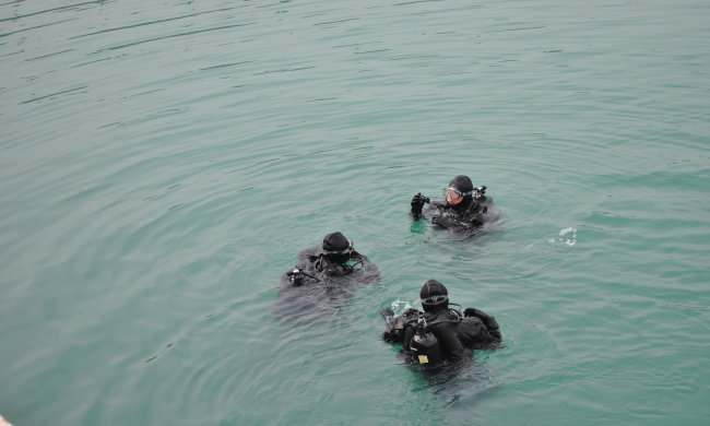 Моторошна аномалія під Кривим Рогом: весь берег усіяний тілами