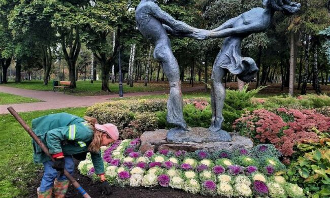 Капуста в клумбе / фото: Вечерний Киев