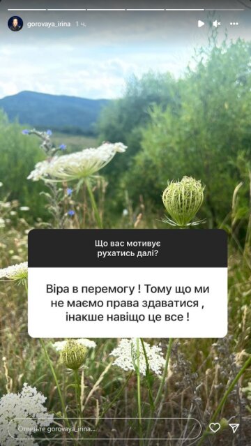 Ирина Горовая, скриншот: Instagram Stories