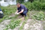 У Одесі схопили шалену домогосподарку: плантація маку - "на пироги"