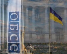 Зустріч глав МЗС країн-членів ОБСЄ вчергове продемонструвала, що йти на компроміси та домовленості з рф безглуздо, - нардеп Пушкаренко