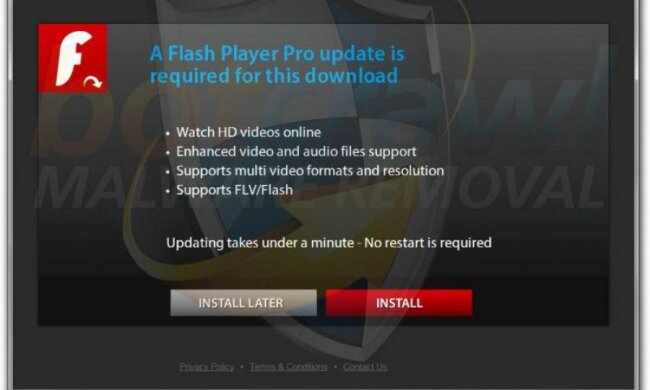 Adobe избавит мир от своего надоедливого детища