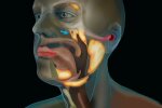 фото Radiotherapy and Oncology