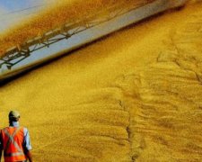 Україна нарощує експорт аграрної продукції в Китай (інфографіка)