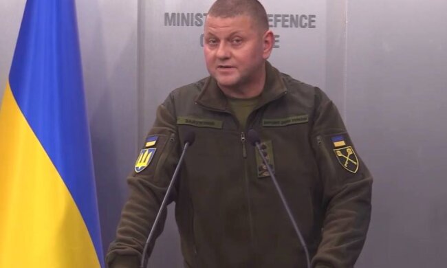 Валерій Залужний, фото: скріншот з відео