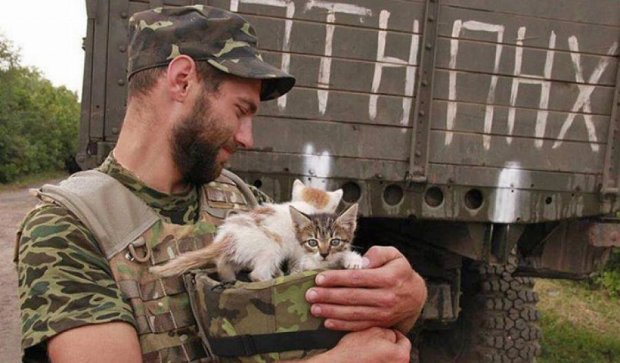 Кіт-сепар, опудало-охоронець та танк у квіточку – неймовірні історії бійців  АТО 