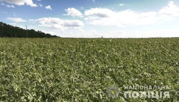 фото: Национальная полиция