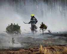Масштабный лесной пожар в Вышгородском районе