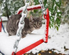 погода на 25 листопада