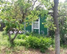 Окупанти придумали, як "підстьобнути" севастопольців до переселення