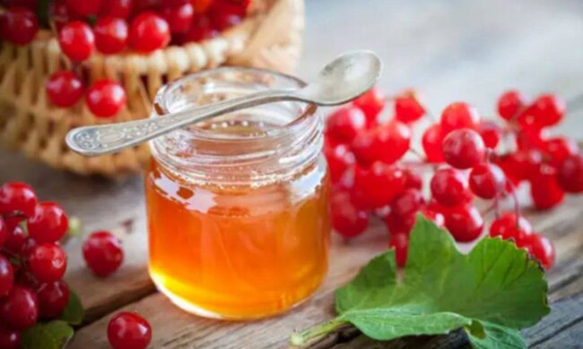 Калина с медом, фото из соцсетей