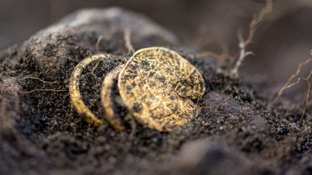 Археологи обнаружили драгоценные следы древнеримского поселения