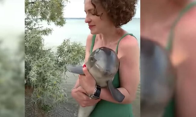 дельфінятко, фото з Facebook