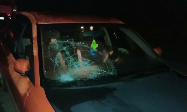 фото: Національна поліція