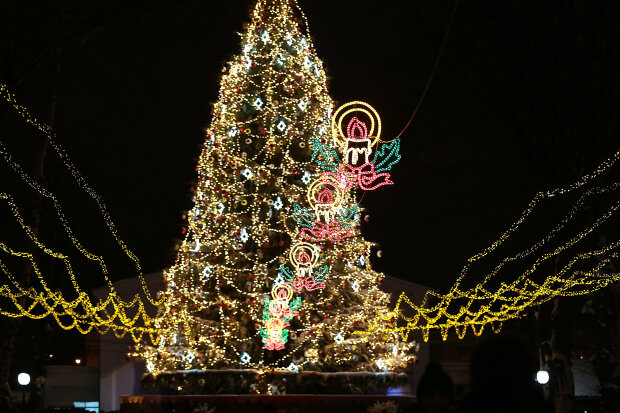 Светится и вертится: новогодняя елка Винницы попала в Книгу рекордов Украины, - яркие кадры