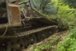 Вырубка леса, скриншот видео