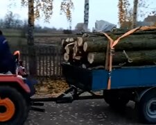 Дрова, скріншот з відео