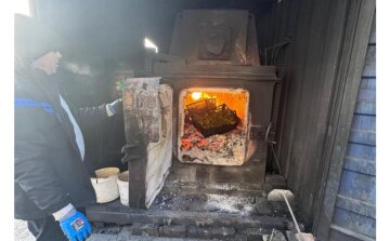 Уничтожение зараженной зелени: фото Госпродпотребслужба