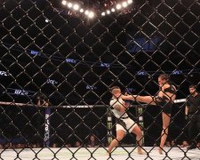 Стали известны гонорары бойцов на UFC 211