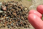 Розкопки археологів, фото: вільне джерело