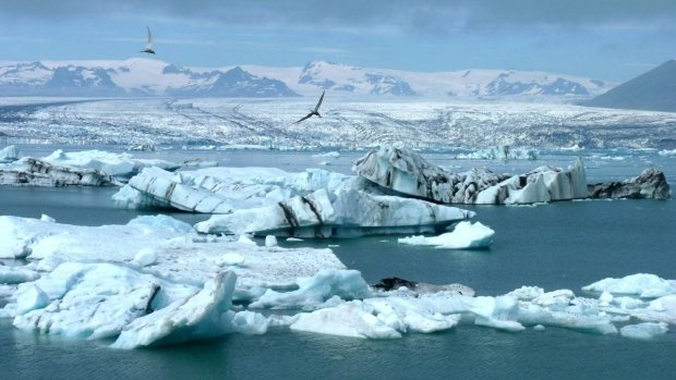 Особлива знахідка: в арктичних снігах археологи натрапили на 4000-річні рештки