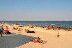 "Берег усіяний рибою": в Азовське море потрапила токсична фарба, рахують збитки