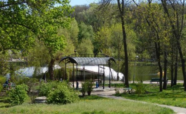 У родственников экс-министра отобрали землю в "Голосеевском" парке