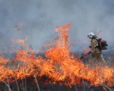 Сибирь горит адским пламенем: на месте леса образовались марсианские равнины