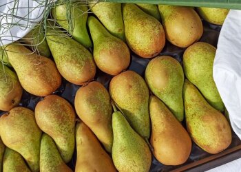 Груши, фото freshmart