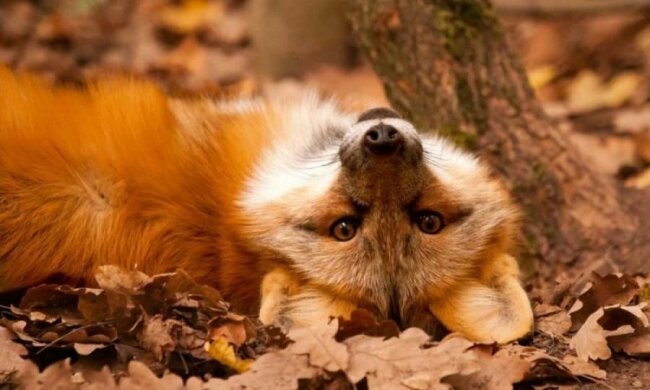 Достали теплые вещи? Каких сюрпризов ждать от погоды