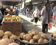 Ціни на "другий хліб" впали, але радіти зарано: фермери розповіли, скільки коштуватиме картопля