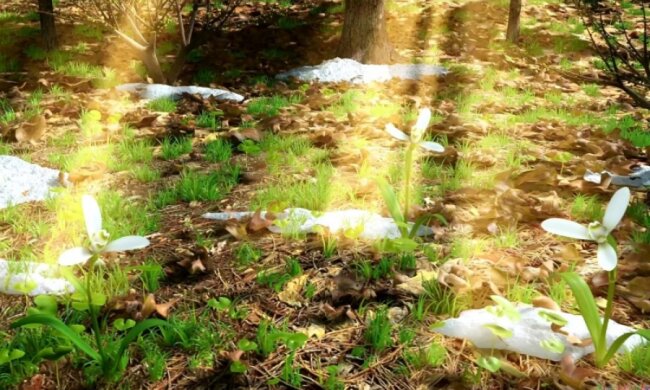 Солнышко пригреет: украинцам пообещали долгожданную весну