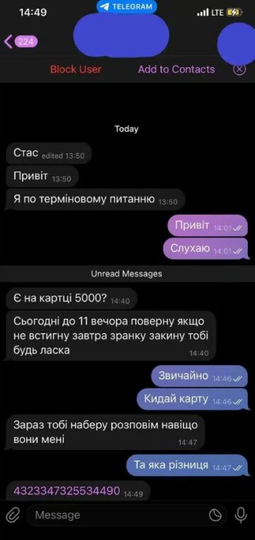 Общение с мошенниками, скриншот: Telegram