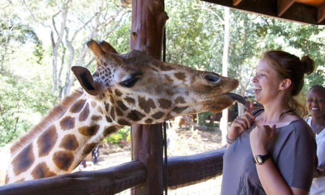 Житель зоопарку повторив подвиг героя відомого мультика: відео
