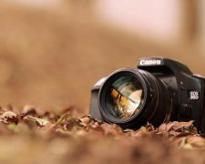 День фотографа 2017: кадри, які відомі всьому світу